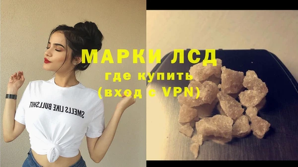 PSILOCYBIN Кукмор