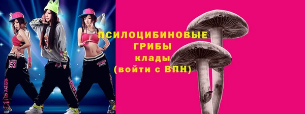 PSILOCYBIN Кукмор