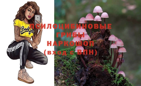 прущие крисы Куйбышев