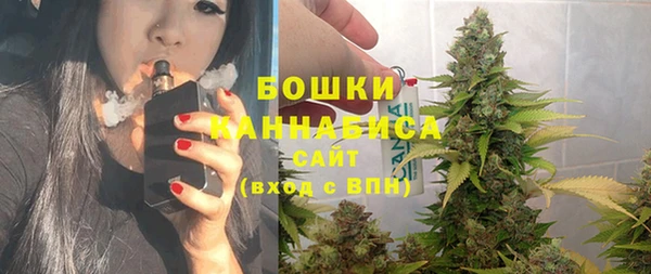 PSILOCYBIN Кукмор